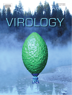 mmvirology_cover