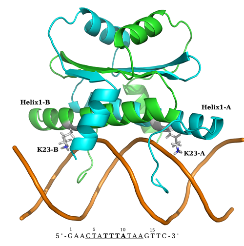 Pettitt Figure 4