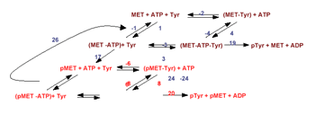 Watowich Research Image